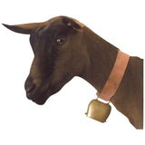 Goat Bell 65mm - Pet And Farm
