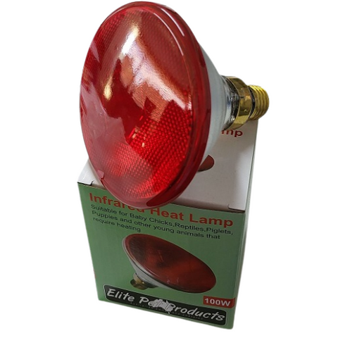 Infrared Brooding Heating Lamp 100w - Pet And Farm 