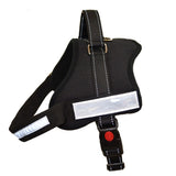 Dog Harness – Padded Adjustable - Pet And Farm