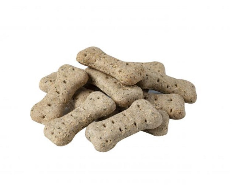 4x2 dog outlet biscuits