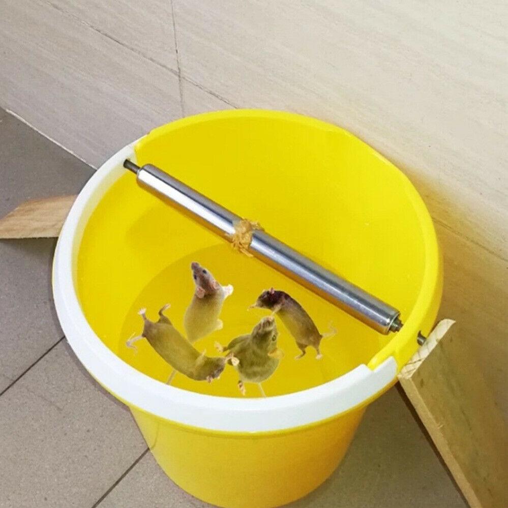 Walk The Plank Mouse Trap Roller Catch Mice Auto Reset Bucket Trap