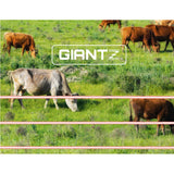 Giantz 2000M Electric Fence Wire Tape Poly Stainless Steel Temporary Fencing Kit - Pet And Farm