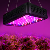 Greenfingers Set of 2 LED Grow Light Kit 300W Full Spectrum Indoor Hydroponic System - Pet And Farm
