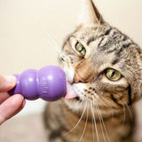 Kitty Kong - Pet And Farm