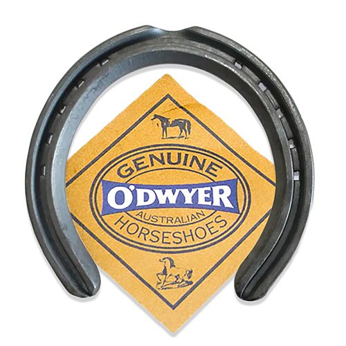 O’DWYER Standard Hack Horse Shoes Pet And Farm