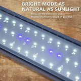 Dynamic Power 2 Set 11W Aquarium Blue White LED Light for Tank 50-70cm - Pet And Farm