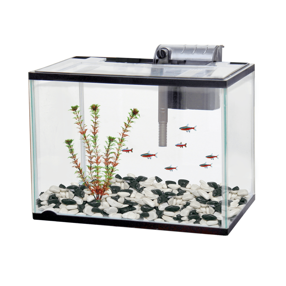 Classica Aquarium Starter Kit Pet And Farm