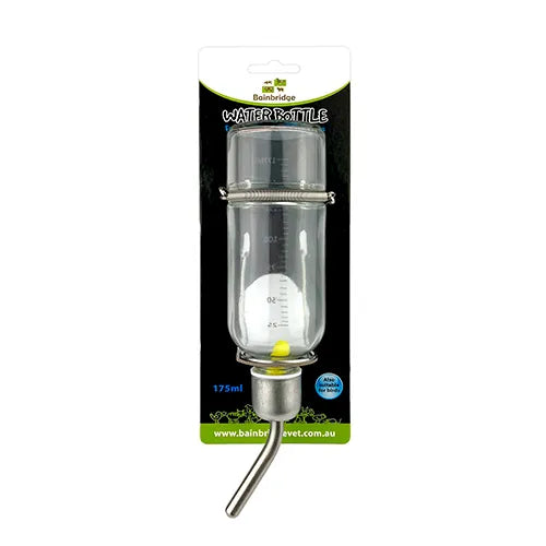 Glass guinea pig water bottle outlet