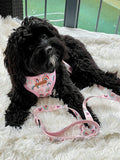 Boho Rainbow Dog Lead - Pet And Farm