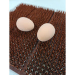 Poultry Nesting Box Plastic Mat 30x30cm - Pet And Farm 
