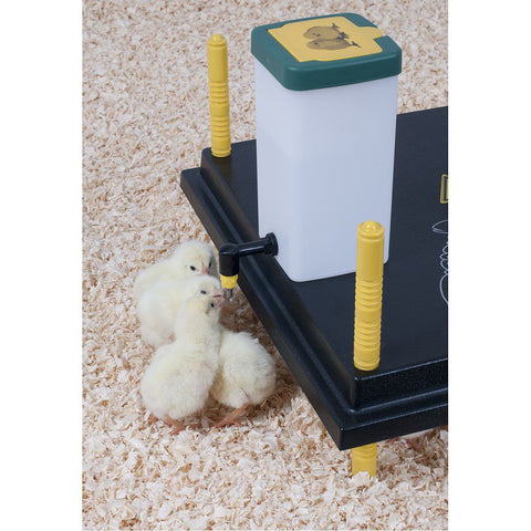 Cheeky Chooka Poultry Drinker Chick Dropper 1L - Pet And Farm 