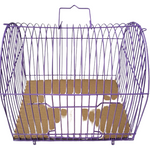 Wire Bird Carrier Small - Pet And Farm 