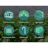 Green Fingers Greenhouse 6x3x2M Walk in Green House Tunnel Plant Garden Shed Dome - Pet And Farm 