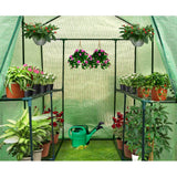 Green Fingers Greenhouse 1.2x1.9x1.9M Walk in Green House Tunnel Plant Garden Shed 4 Shelves - Pet And Farm 