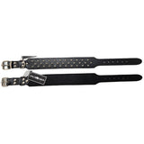 Leather Staffy Studded Collar - Pet And Farm 