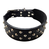 Leather Staffy Studded Collar - Pet And Farm 