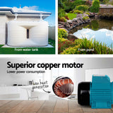 Giantz Peripheral Water Pump Garden Boiler Car Wash Auto Irrigation QB80 Black - Pet And Farm 