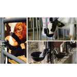 21.5cm Cattle Drinking Bowl - Iron Cast Mounted Automatic Water Cow Horse Trough - Pet And Farm 