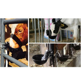 25cm Cattle Drinking Bowl - Iron Cast Mounted Automatic Water Cow Horse Trough - Pet And Farm 