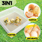 Electric 112 Egg Incubator + Accessories Hatching Eggs Chicken Quail Duck - Pet And Farm 