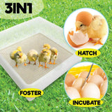 Rooster Farms Electric 112 Egg Incubator + Accessories for Chicken Quail Duck - Pet And Farm 