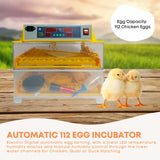 Rooster Farms Electric 112 Egg Incubator + Accessories for Chicken Quail Duck - Pet And Farm 