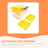 Rooster Farms Electric 112 Egg Incubator + Accessories for Chicken Quail Duck - Pet And Farm 