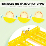Electric 96 Egg Incubator + Accessories Hatching Eggs Chicken Quail Duck - Pet And Farm 