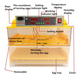 Rooster Farms Electric 96 Egg Incubator + Accessories for Chicken Quail Duck - Pet And Farm 