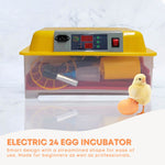 Electric 24 Egg Incubator + Accessories Hatching Eggs Chicken Quail Duck - Pet And Farm 