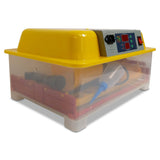 Rooster Farms Electric 32 Egg Incubator + Accessories for Chicken Quail Duck - Pet And Farm 