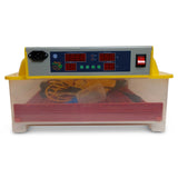 Electric 60 Egg Incubator + Accessories Hatching Eggs Chicken Quail Duck - Pet And Farm 