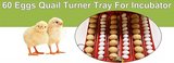 Rooster Farms Electric 60 Egg Incubator + Accessories for Chicken Quail Duck - Pet And Farm 