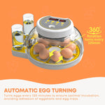 Automatic 8 / 18 Egg Incubator - Electrical Turning Chicken Quail Duck Hatching - Pet And Farm 