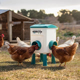 Chicken Feeder Water Food Treadle Poultry Feeding 12KG Large Capacity 11L - Pet And Farm 