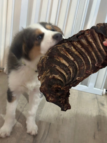 1x Just Kangaroo Rib Racks - Pet And Farm 