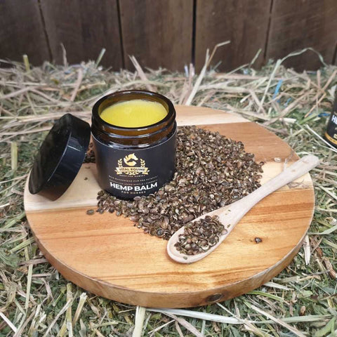 Vital Equine | Hemp, Comfrey & Arnica Balm 120g - Pet And Farm 