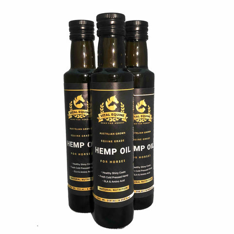Premium Australian Equine Hemp Oil – Natural Nutritional Support for Horses - Pet And Farm 