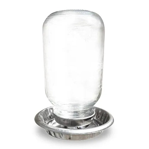 Chicken Drinker Stainless Steel Base With Glass Mason Top 1L