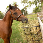 Hanging Fence Wire Hay Feeder