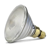 Infrared Heat Lamp Bulb - Clear