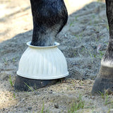 Ribbed Bell Boots Over-Reach - Pet And Farm 