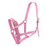 Horse Halter Nylon - Pet And Farm 