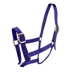 Horse Halter Nylon - Pet And Farm 