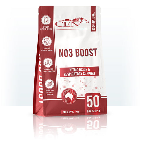 CEN NO3 Boost Horse Supplement - Pet And Farm 