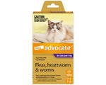 Advocate Purple Large Cats Over 4kg 1 pk