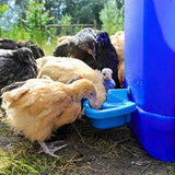 Cheeky Chooka Maxi-Cup Automatic Poultry Waterer Cup - Pet And Farm 