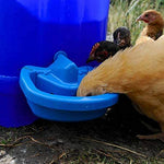 Cheeky Chooka Maxi-Cup Automatic Poultry Waterer Cup - Pet And Farm 