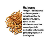 Freeze Dried Mealworms 285g - Pet And Farm 