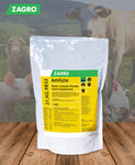 Amilyte Vitamins Electrolytes Amino Acids 1kg - Pet And Farm 